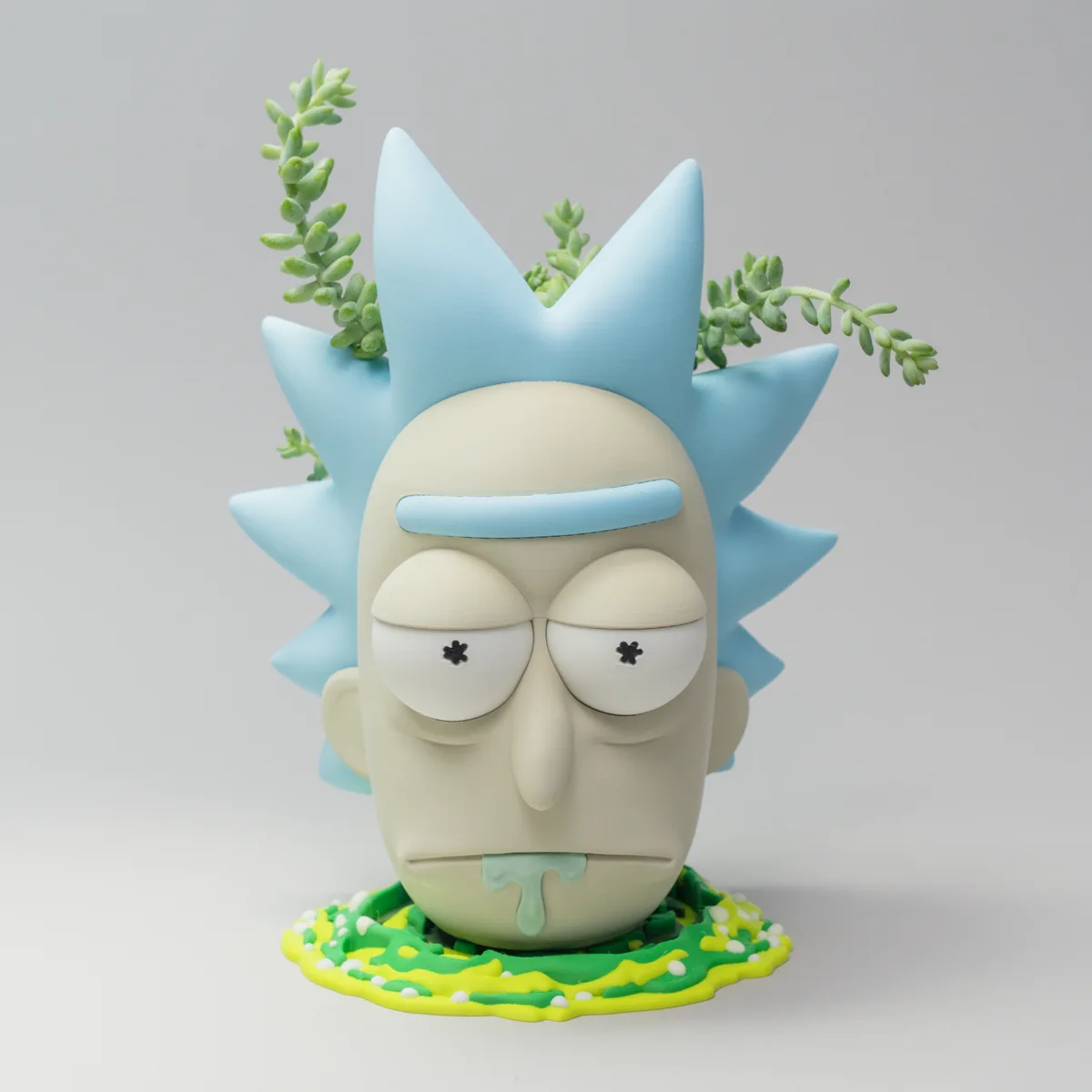 Vaso de Planta Rick